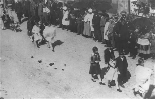        Zdj: 1561 
Dodane: 2012.03.2