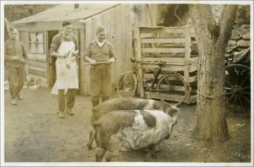 Zdj: 1641
Dodane: 2012.04.24