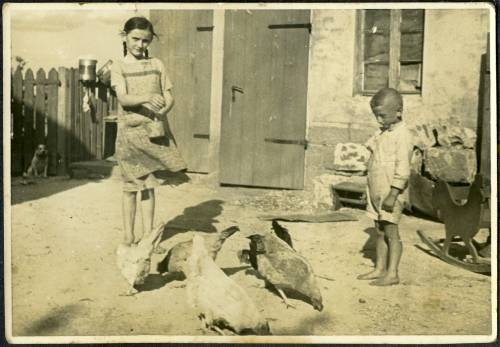 Zdj: 1648
Dodane: 2012.04.25