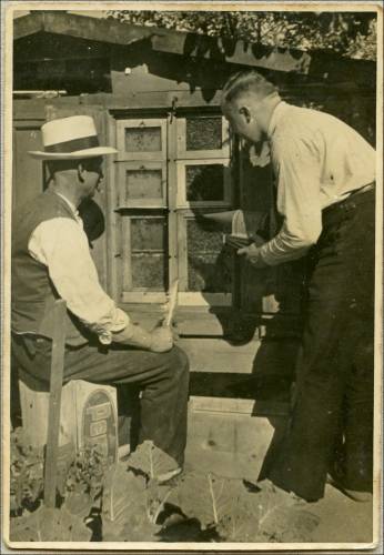 Zdj: 1669
Dodane: 2012.05.9