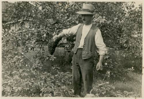 Zdj: 1678
Dodane: 2012.05.16