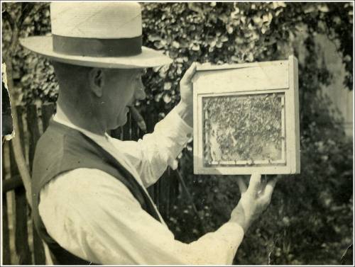 Zdj: 1679
Dodane: 2012.05.16