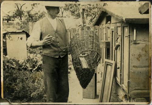        Zdj: 1680 
Dodane: 2012.05.16