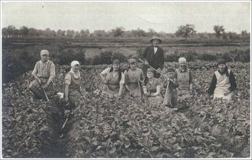 Zdj: 1705
Dodane: 2012.05.28