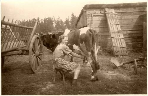 Zdj: 1731
Dodane: 2012.06.6