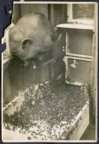 Zdj: 1742
Dodane: 2012.06.12