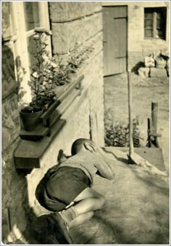 Zdj: 1752
Dodane: 2012.06.15