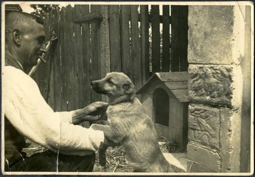 Zdj: 1758
Dodane: 2012.06.18