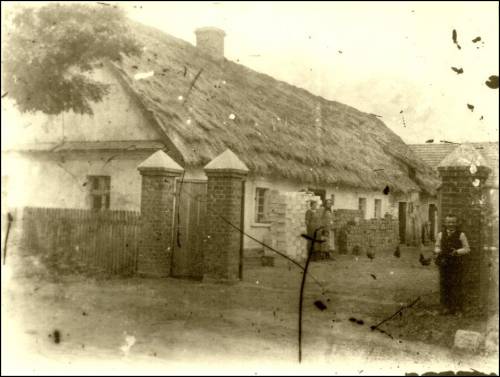        Zdj: 1771 
Dodane: 2012.06.21