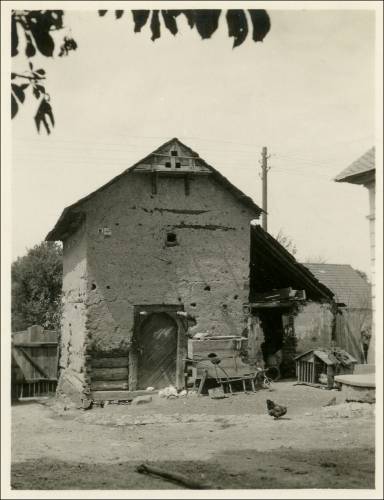 Zdj: 1805
Dodane: 2012.07.26