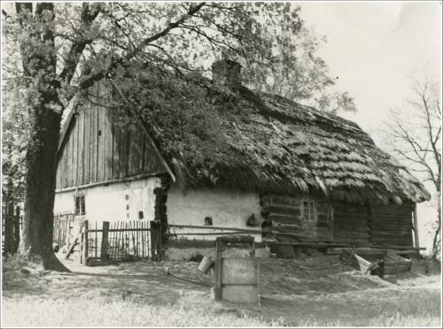 Zdj: 1810
Dodane: 2012.07.27