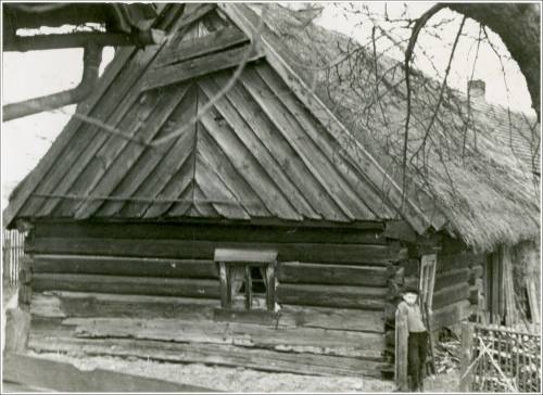 Zdj: 1811
Dodane: 2012.07.27