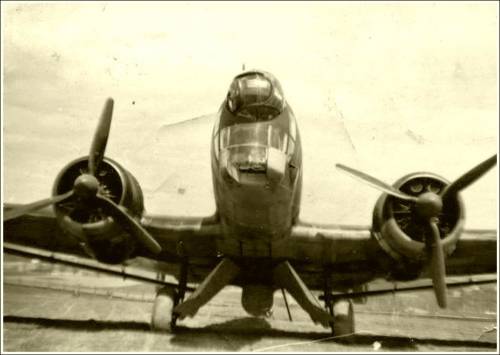 Zdj: 1862
Dodane: 2012.11.21