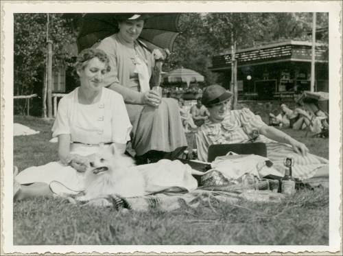 Zdj: 1881
Dodane: 2012.12.20