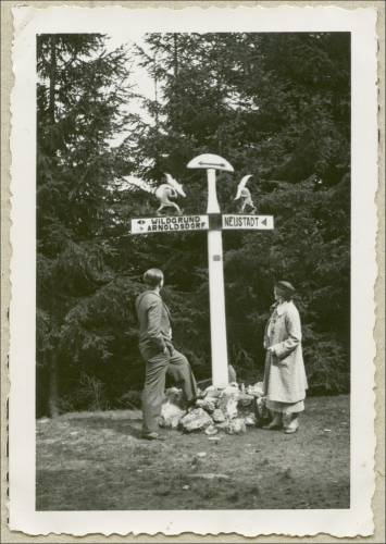        Zdj: 1883 
Dodane: 2012.12.20