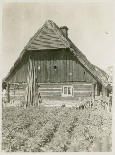 Zdj: 306
Dodane: 2005.12.23