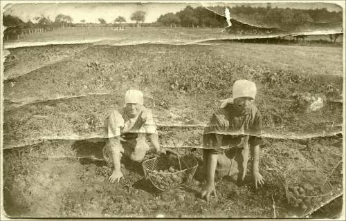        Zdj: 1959 
Dodane: 2013.05.21