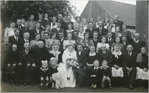        Zdj: 1973 
Dodane: 2013.06.3