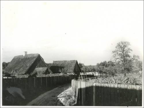        Zdj: 1984 
Dodane: 2013.06.5