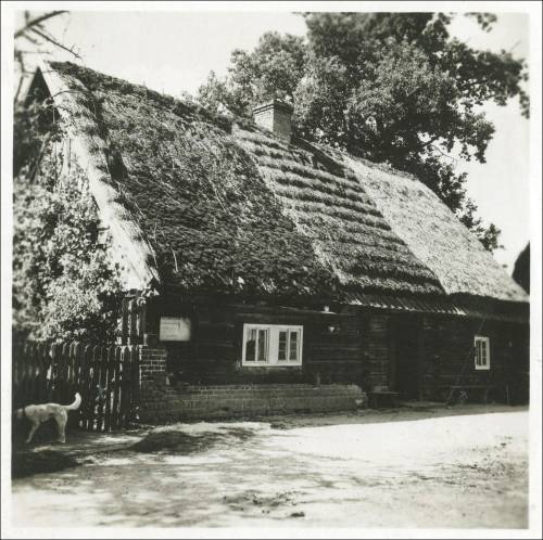 Zdj: 1989
Dodane: 2013.06.13