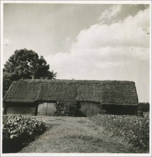        Zdj: 1991 
Dodane: 2013.06.17