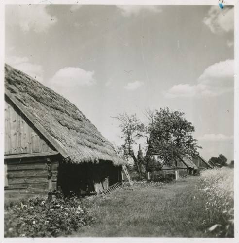        Zdj: 1994 
Dodane: 2013.07.1