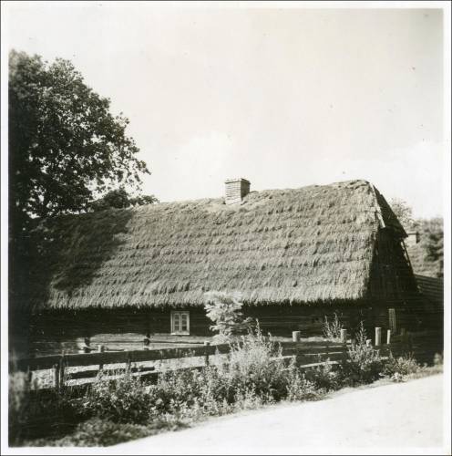 Zdj: 1995
Dodane: 2013.07.1