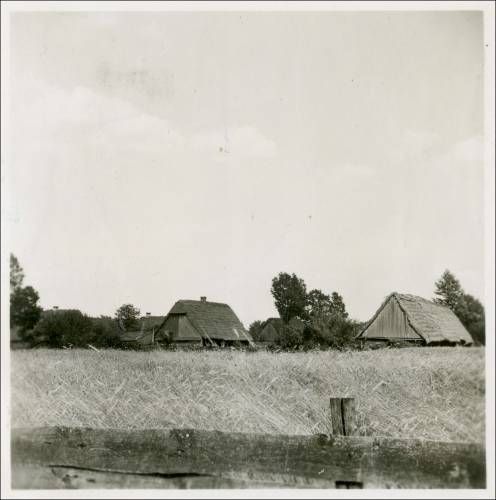        Zdj: 1997 
Dodane: 2013.07.2