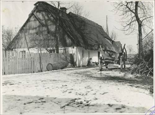        Zdj: 2002 
Dodane: 2013.10.1