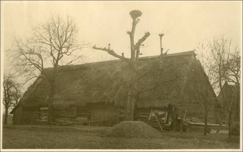        Zdj: 2003 
Dodane: 2013.10.1