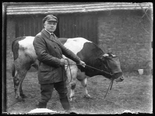        Zdj: 2004 
Dodane: 2013.10.9