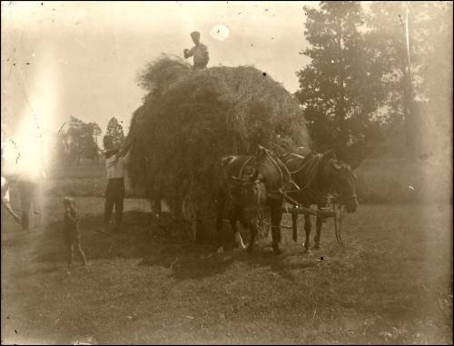        Zdj: 2018 
Dodane: 2013.10.21