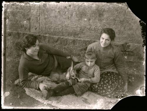 Zdj: 2041
Dodane: 2013.11.27