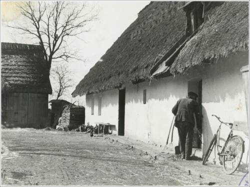 Zdj: 2049
Dodane: 2014.01.7