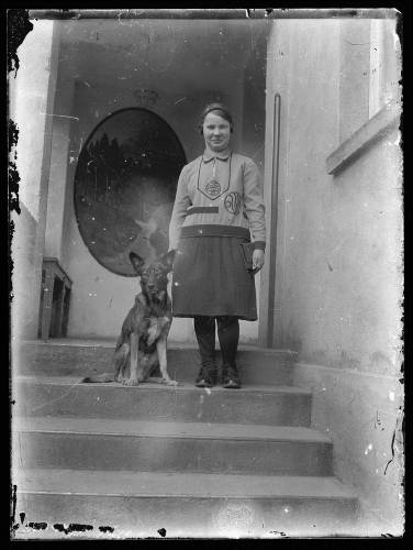 Zdj: 2055
Dodane: 2014.01.20