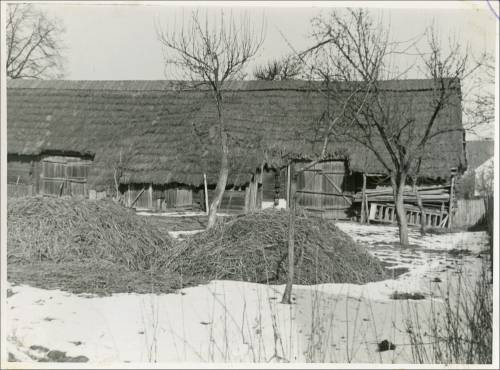        Zdj: 2091 
Dodane: 2014.03.10