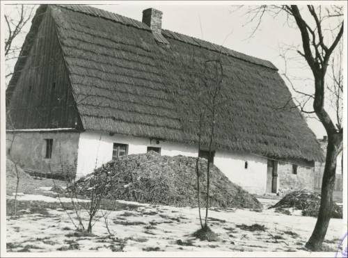 Zdj: 2092
Dodane: 2014.03.10