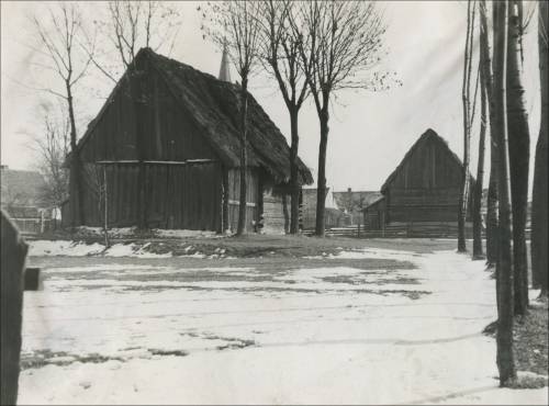        Zdj: 2096 
Dodane: 2014.03.14