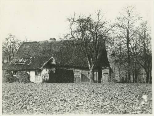 Zdj: 2097
Dodane: 2014.03.17