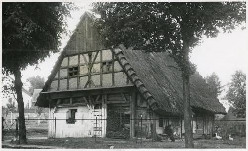 Zdj: 2099
Dodane: 2014.03.18