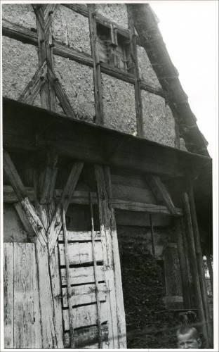        Zdj: 2102 
Dodane: 2014.03.20