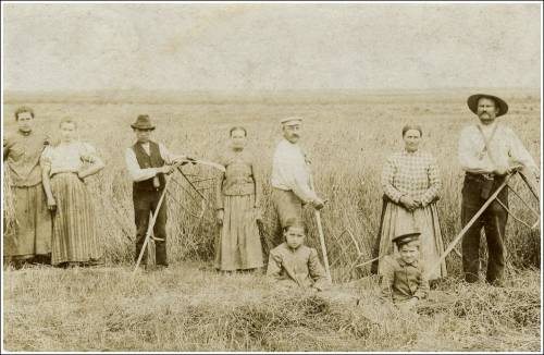 Zdj: 2187
Dodane: 2014.09.25