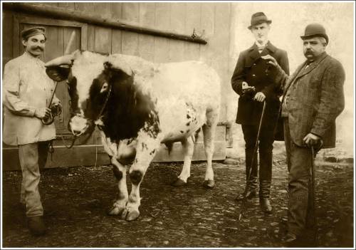 Zdj: 2189
Dodane: 2014.09.25