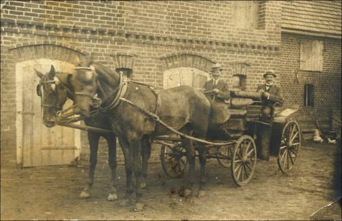 Zdj: 2243
Dodane: 2016.02.10