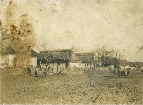 Zdj: 2250
Dodane: 2016.03.15