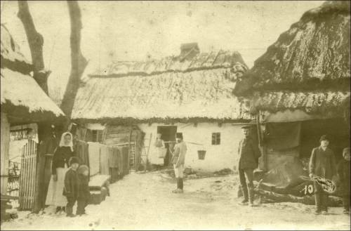 Zdj: 2252
Dodane: 2016.03.15