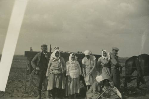 Zdj: 2289
Dodane: 2016.10.11