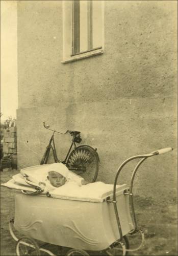        Zdj: 2295 
Dodane: 2016.10.20