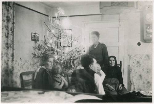 Zdj: 2304
Dodane: 2016.12.21