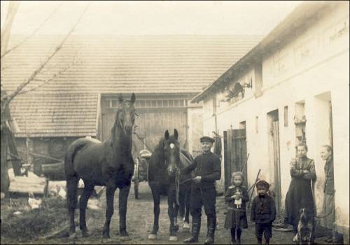 Zdj: 2330
Dodane: 2017.04.28